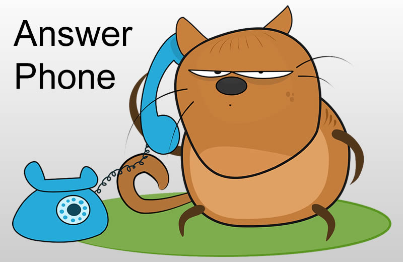 Answer Phone