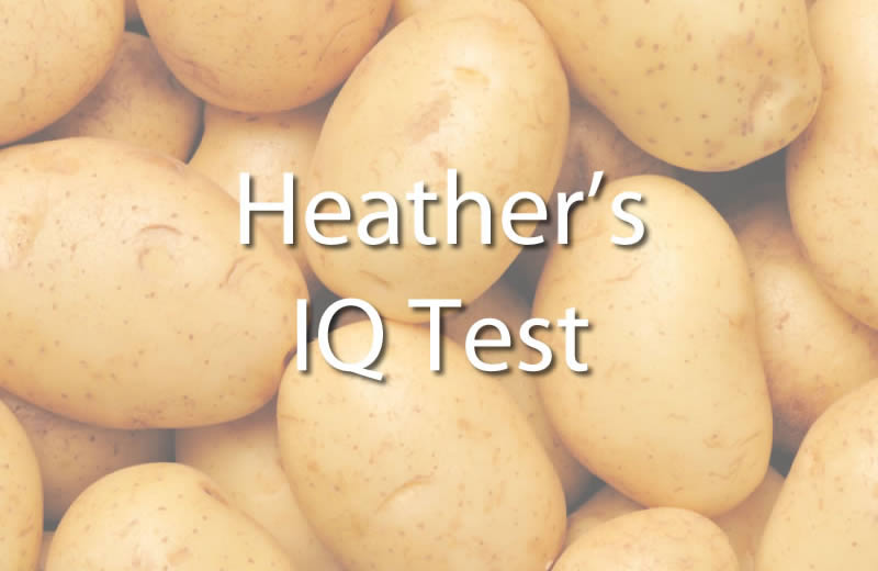 IQ Test